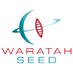 WaratahSeed.Space (@waratahseed) Twitter profile photo