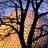 EnergySmartPlan's profile image