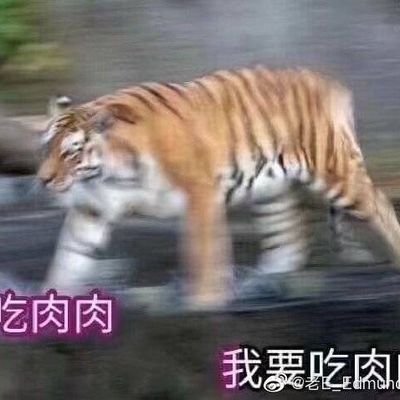 alongte ggggさんのプロフィール画像