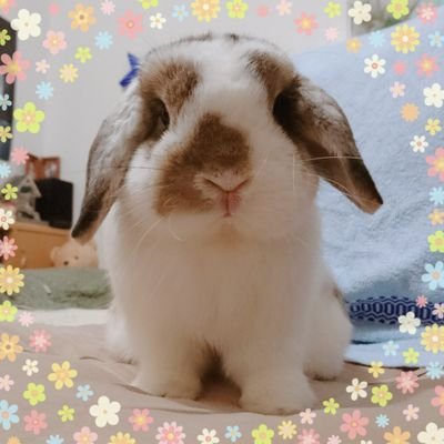 miyabi_sen's profile picture. 正しさとは　自分のこと　強く信じることだ.