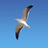 Droombaanexpert's profile image