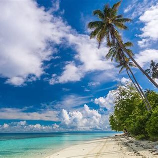 Sqmex2's profile picture. Amazon us freebies review