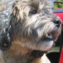 Mark Liszewski - @jjamdog - Twitter