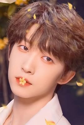 luyphuog2208's profile picture. 