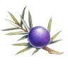 JuniperTV's profile picture. TV & Radio production company specialising in current affairs, history, science, arts and pop culture. 
@bbcsoutheast @BBCLondonNews 
https://t.co/gKluMYhiRU