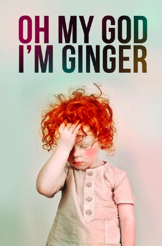 a mom / a foodie enthusiast / a natural ginger