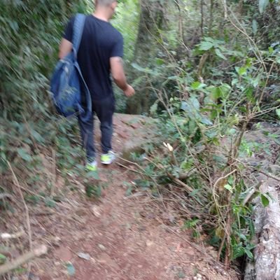 cruisingarg2022's profile picture. 