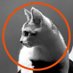 Filmfest Oldenburg (@filmfestol) Twitter profile photo Filmfest Oldenburg (@filmfestol) Twitter profile photo