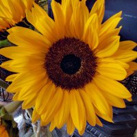 Chez B (@chezb18) 's Twitter Profile Photo