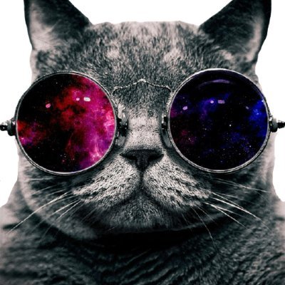 Space Cats crypto token