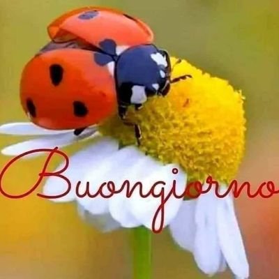 Nadietta881's profile picture. 