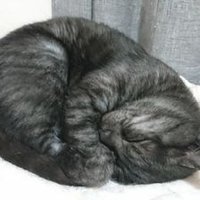 とも(友) (@48yblmtfncwyewc) 's Twitter Profile