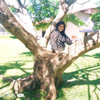sangeets (@sangeets8) 's Twitter Profile