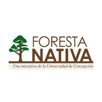 Recuperamos los bosques nativos de #Chile, mediante reforestación y restauración ecológica a gran escala con especies nativas. Iniciativa de la @udeconcepcion.
