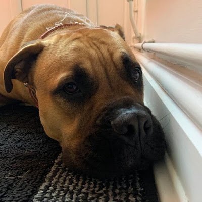 AndrewM14785941's profile picture. 