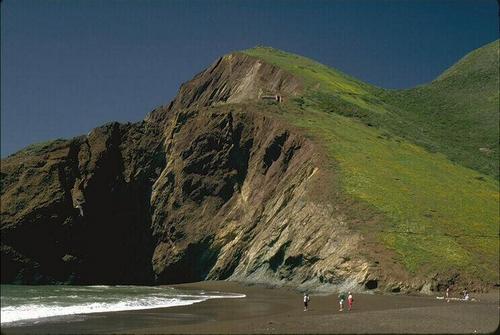 feroza_begum's profile picture. 