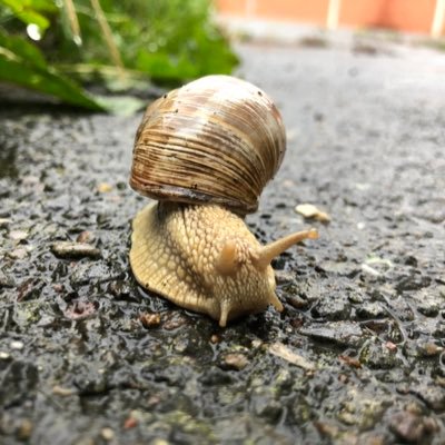 mxre87's profile picture. 