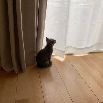 てんてん( ・ω・ ) (@tenten_0519) / Posts / X