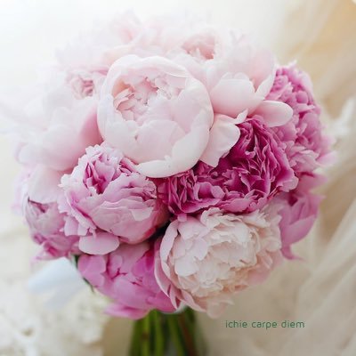 aquarius_titico's profile picture. 俳優の金城武さん、秦昊（チン・ハオ）さん、チョン・ウソンさん、石田卓也さんが好きです。中華圏や韓国の映画を観ることが多いです。2024年あたりからStray Kidsにハマりだしました。