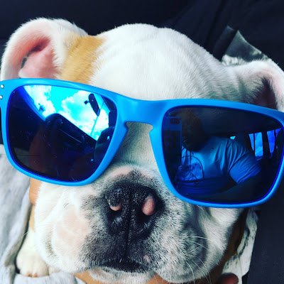 CortezSparkles's profile picture. Fabulous and Fun Educating Mom who loves Positivity