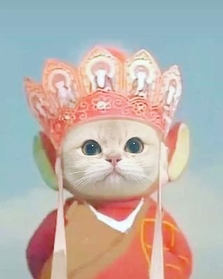 dvd19971's profile picture. $NianNian believer. Came for profit stay for kindess.
CA: 0x9c27c4072738cf4b7b0b7071af0ad5666bddc096