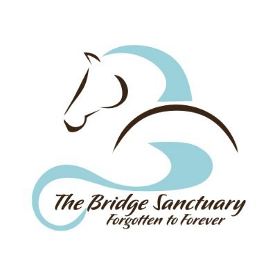 501(c)(3) non-profit helping horses PayPal: https://t.co/4f91Ft0o9D. Venmo: @TheBridge-Sanctuary EIN: 86-1421605