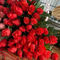 A (@anilcha19244920) 's Twitter Profile