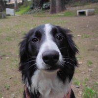 luigy (@luigy31685436) 's Twitter Profile