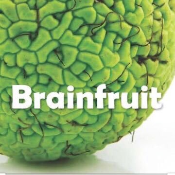 DoctorX96647810's profile picture. ผลไม้สมอง กินแล้วเบาสมอง ฉลาดบ้างโง่บ้าง มากินได้ที่นี่ทุกวัน