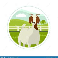 Goatrzr (@goatrzr) 's Twitter Profile