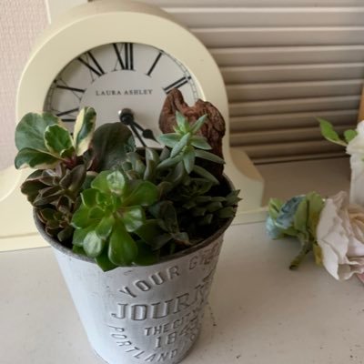 tropicalmimi's profile picture. すう