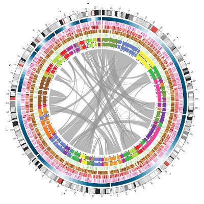 Cassa Lab Profile