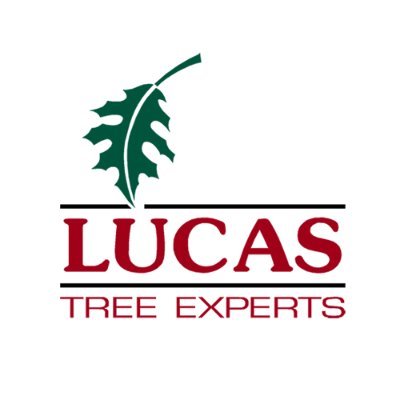 Founded in 1926, Lucas Tree has been a leading provider of tree services and vegetation management.