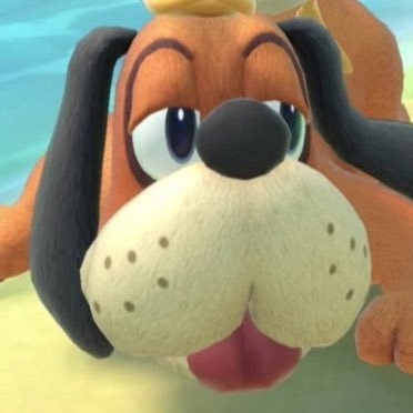 Hi, I’m a Dog from Super Smash Bros. and Duck Hunt. This is my new Twitter account since I can’t log in to my old one.