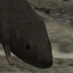 davey_jones75's profile picture. #F3F3 #BRINGTHEMAYHEM #FEARTHEDEEP https://t.co/PLH1RQeUAG #TakeMyVamos