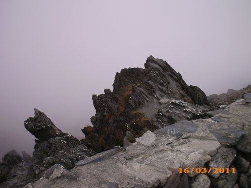 julracal60's profile picture. 