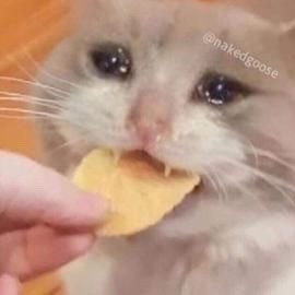 LAMaralagoinsky's profile picture. 