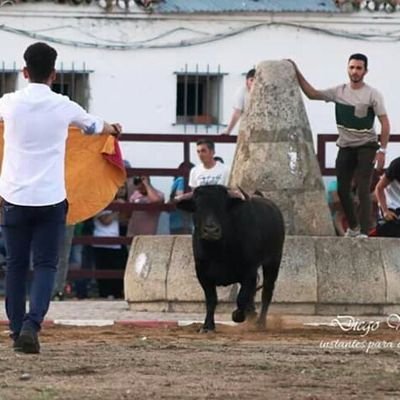 Cuenta Oficial. ( Nueva Cuenta) Información sobre el programa Taurino y Cultural de las Fiestas de San José Obrero. Rincón del Obispo (Cáceres)