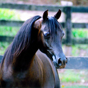 Caitlin Perkins - @Fire_Redhead - Twitter