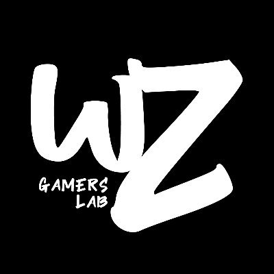 wzgamerslab Profile Picture