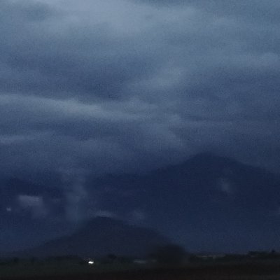 RandomD16212882's profile picture. 