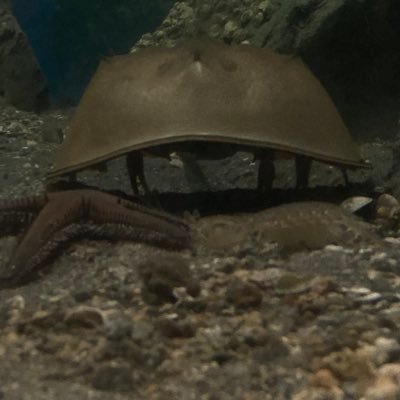 a_a_a_a_a_2369's profile picture. ️🖤🩷️🖤🩷️🖤🩷️🖤🩷️🖤🩷️🖤🩷️🖤🩷️
  
                                                                                              かわゆい子▶@nemmin0228🌱💤