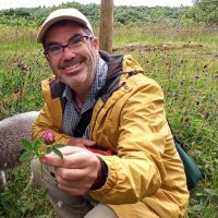 Paul Muto (@paolomuto) 's Twitter Profile