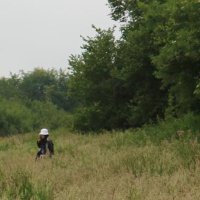 clt 🦤 (@inconnnieto) 's Twitter Profile