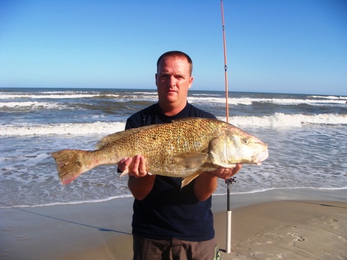 JS200978's profile picture. 