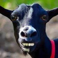 aponky3 krakra😂😂😂😂😂😂🤑🤑🤑🤑 (@robert35828833) 's Twitter Profile