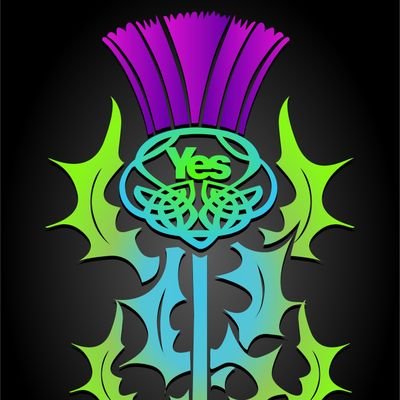 YesPleaseScots's profile picture. 1 of the 45% gutted but the fight goes on.  This genie ain't going back in the bottle . Still spreading the word one tweet a time. #ourdaywillcome