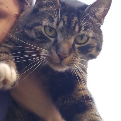 Olaさんのプロフィール画像