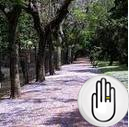 Uma das melhores coisas que Deus nos deu, foi o privilegio de sonhar, pois os sonhos nos tras sempre um novo começo. S2...Jardim Do Impossivel...S2
