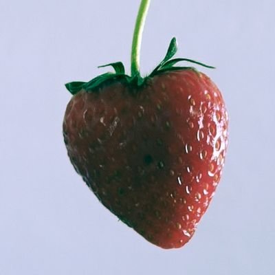 龍山さんさんのプロフィール画像
